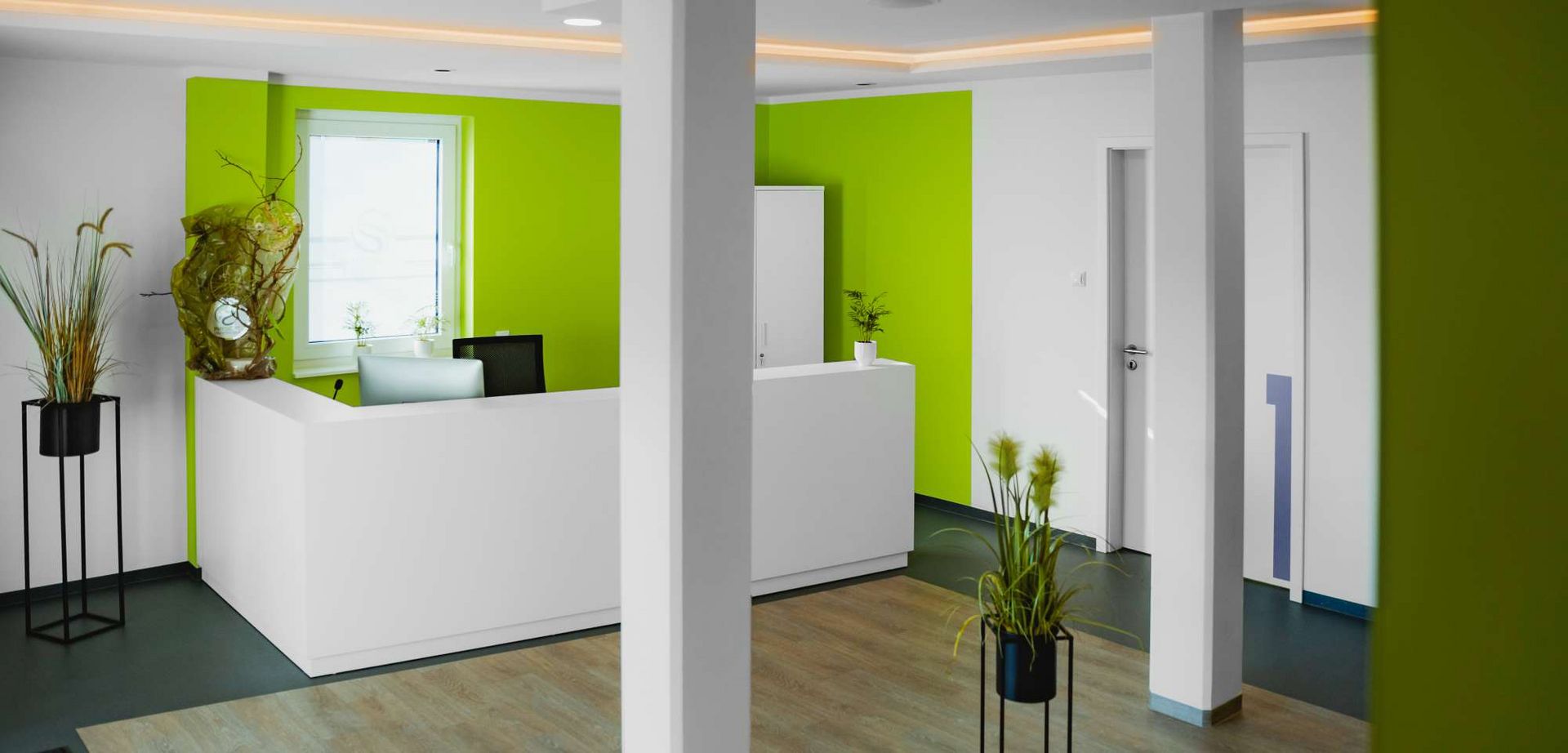 Ein moderner Empfangsbereich mit grüner Wand und Pflanzen sorgt für eine einladende Atmosphäre.